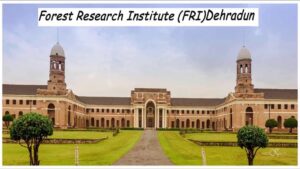 FRI Dehradun Group C Admit Card 2026 Out: Download Hall Ticket for 91 Posts, Exam Date & Complete Exam Day Guide